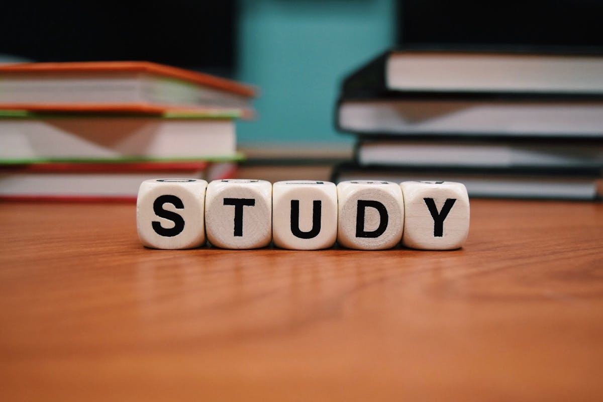 Useful tips for learning how to organize your routine once and for all