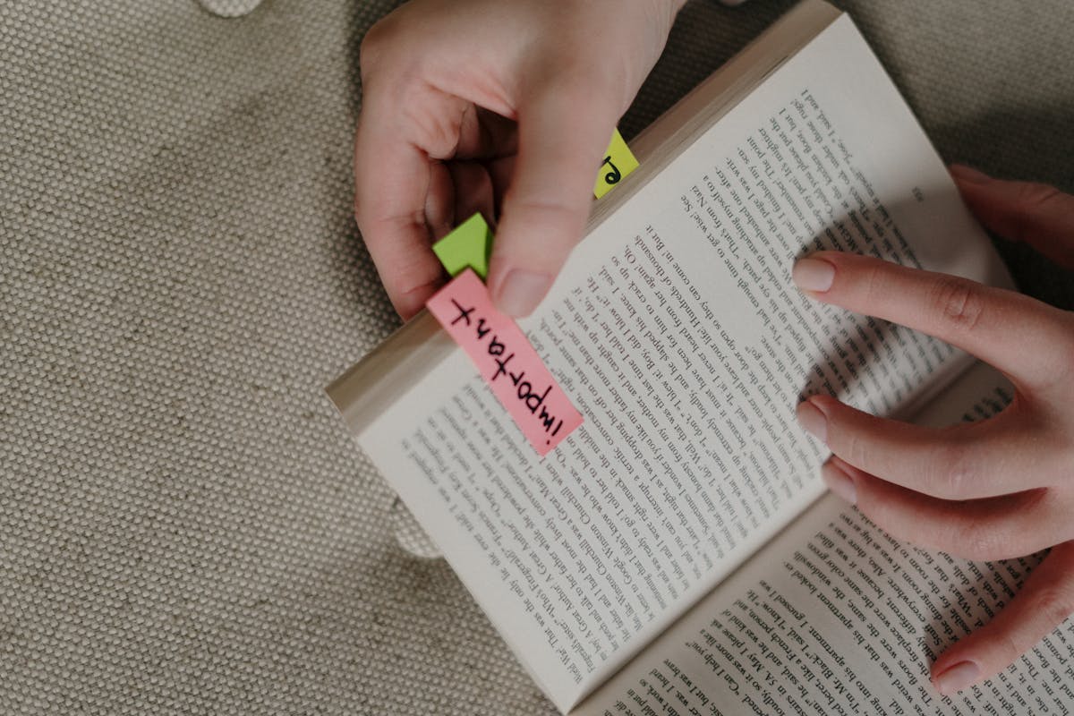 How to study at home? Check out these 5 best tips!