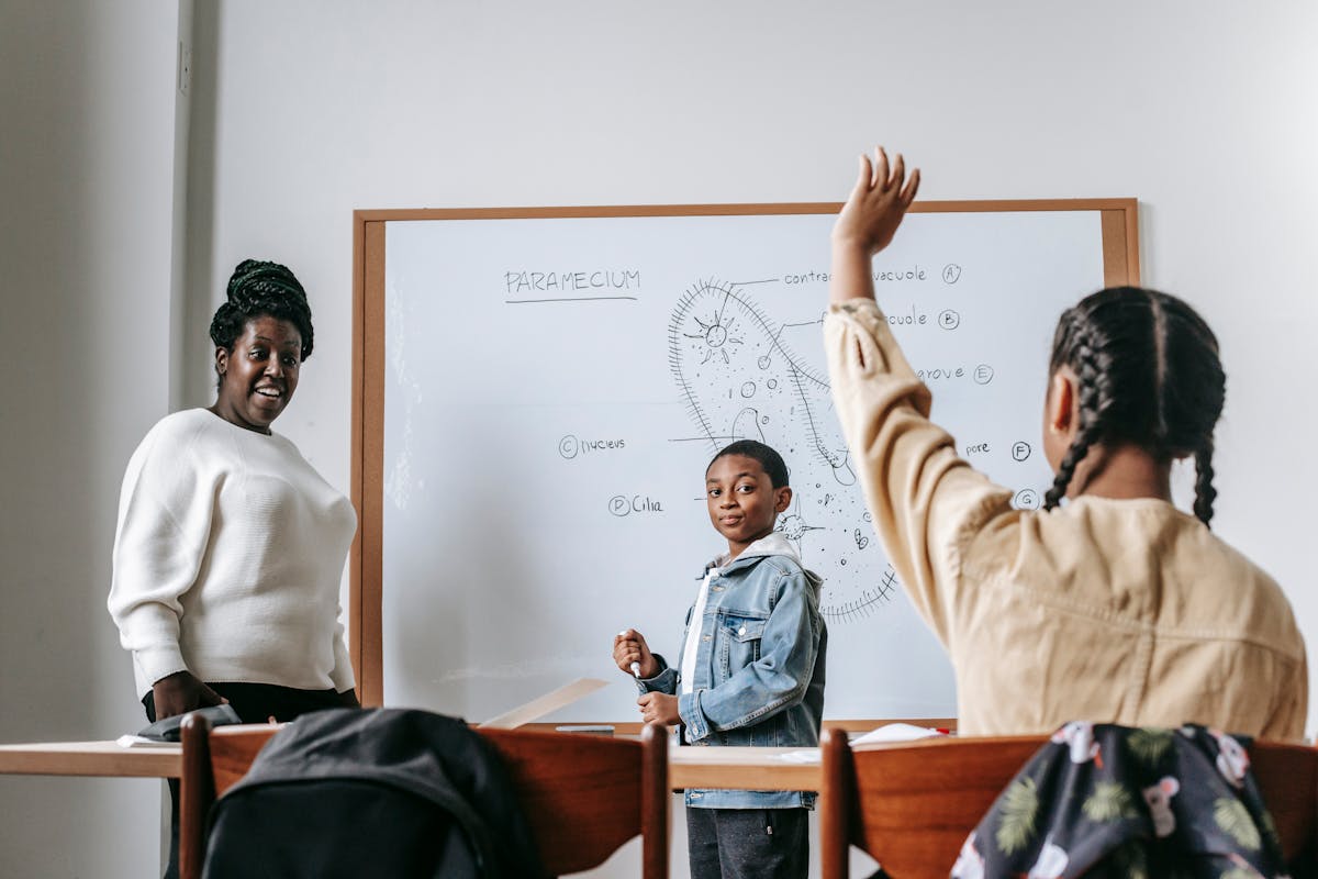 How to create a lesson plan: a complete step-by-step guide?